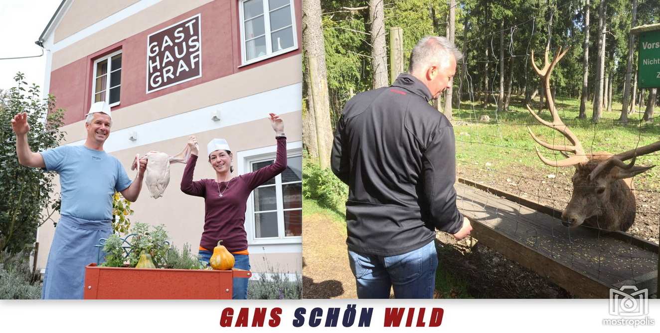 Gasthaus Graf Winklarn Wild u Gans