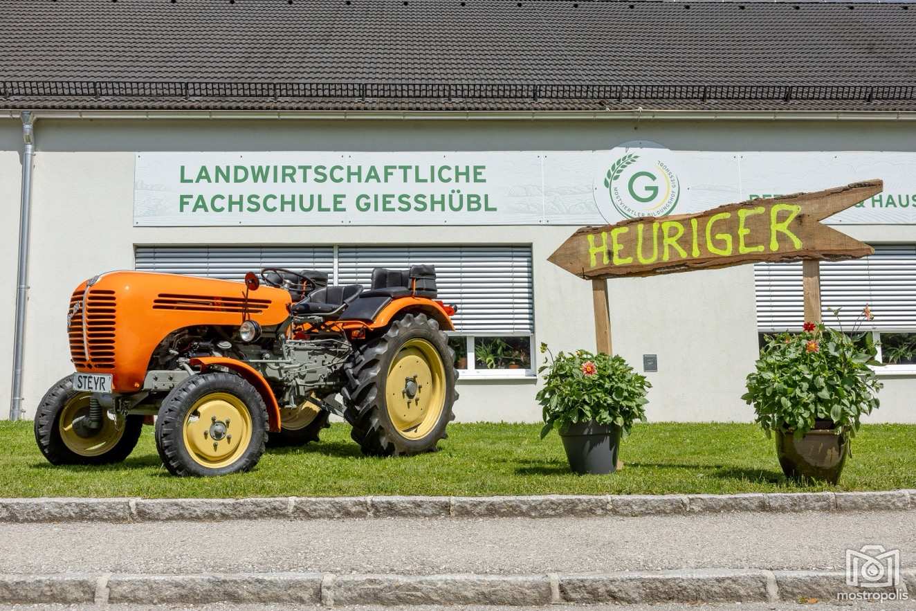 Schulheuriger 2025 MostvBildHof 003.jpg