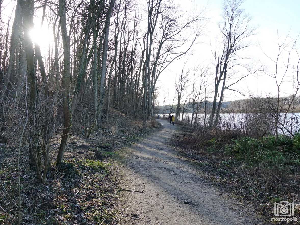 Donau-Altarm_Wallsee_005.JPG