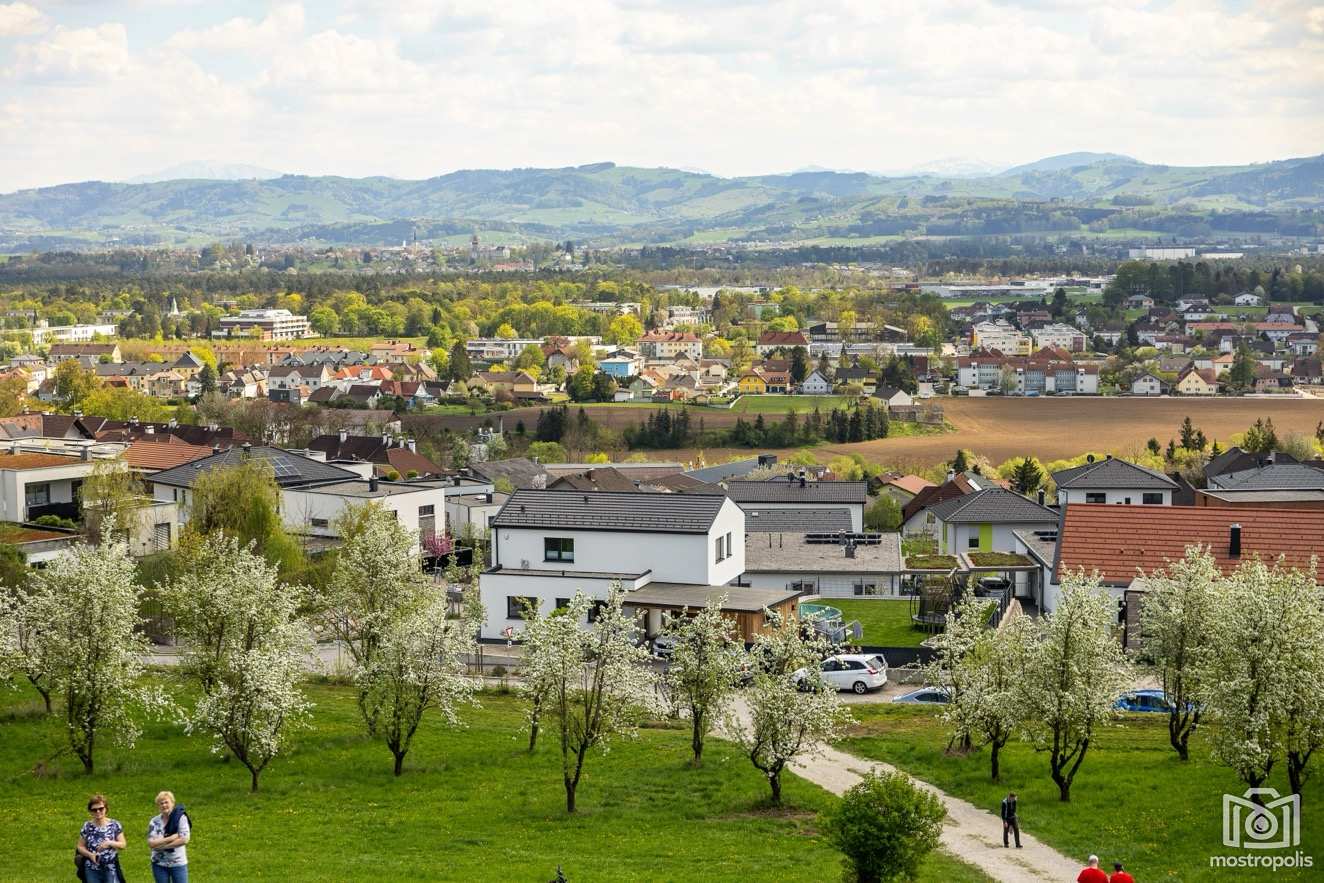 Birnenerlebnisweg - Mostelleria Oehling 005.jpg