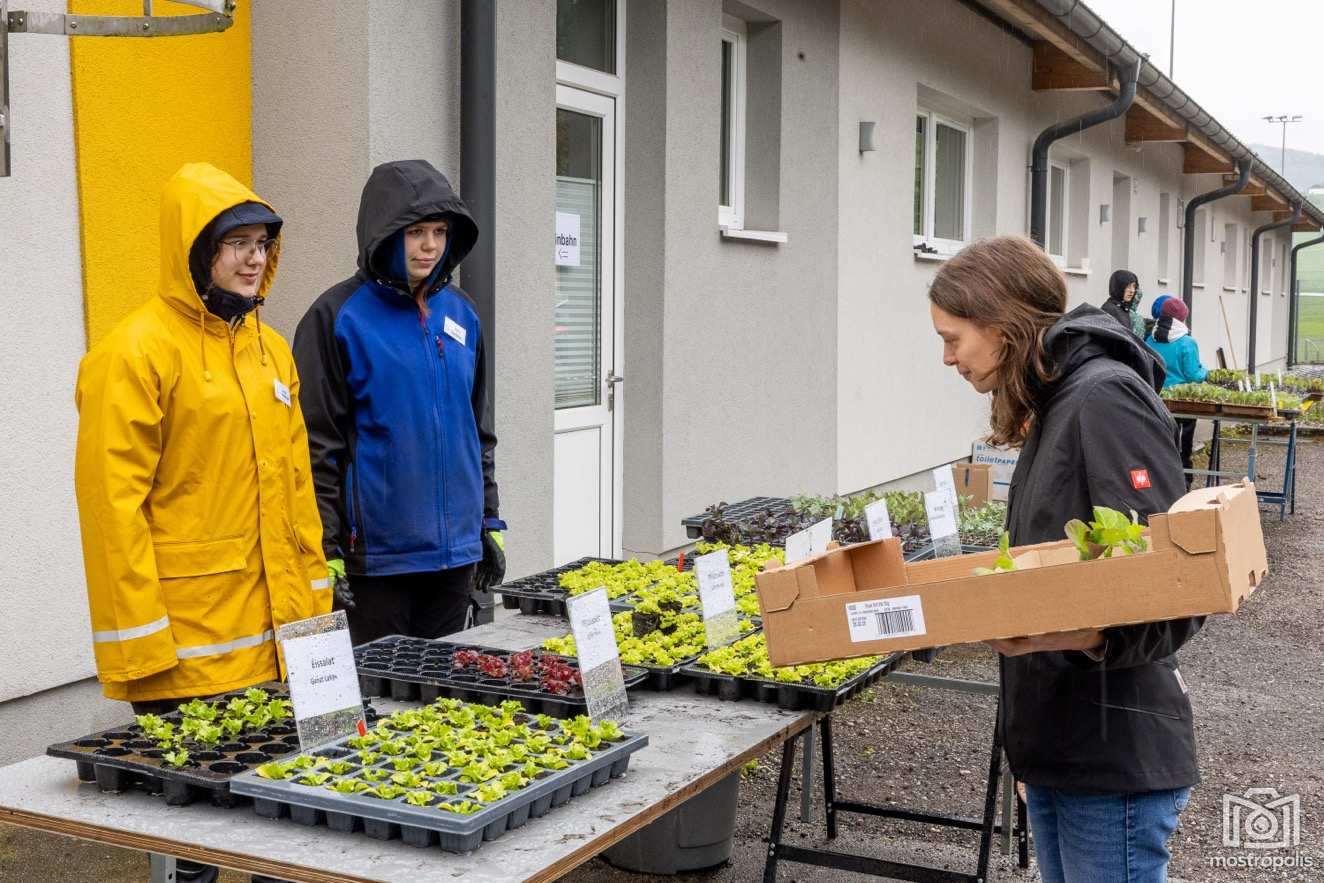Pflanzen-Raritaeten-Markt_2025_LFS-Giesshuebl 004.jpg