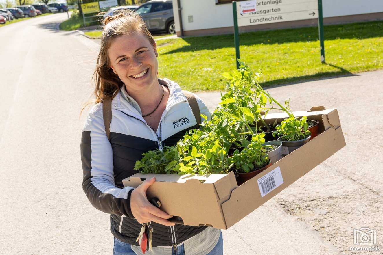 Pflanzenmarkt LFS Giesshuebl 2026 - 005.jpg