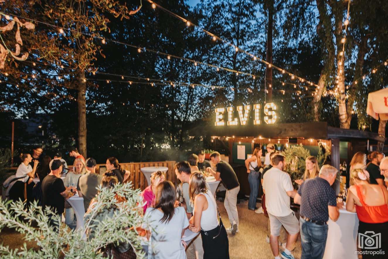 Elvis Pizzazz - The Garden Opening 001.jpg