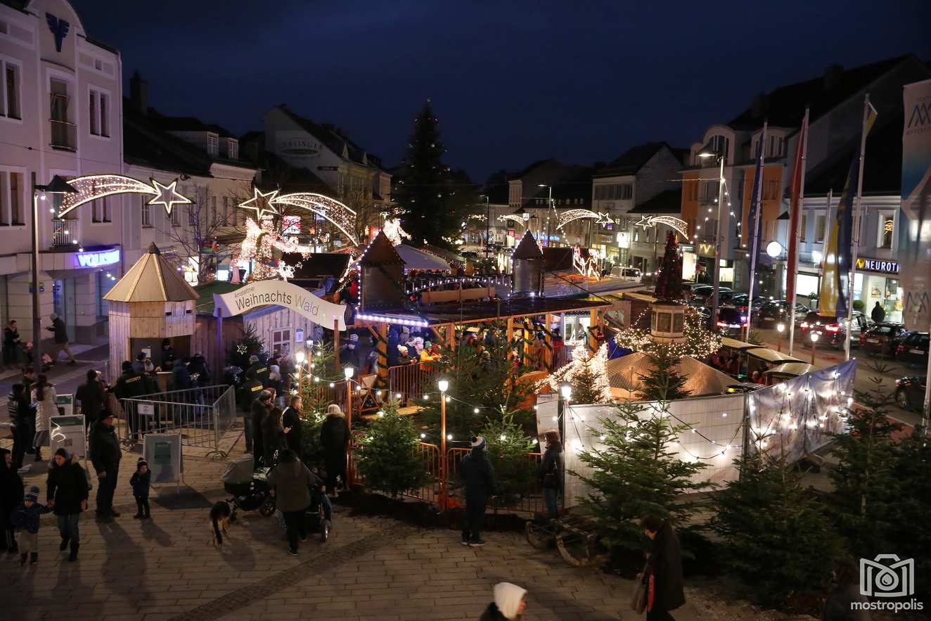 Amstettner_Weihnachtswald_2021_003.JPG