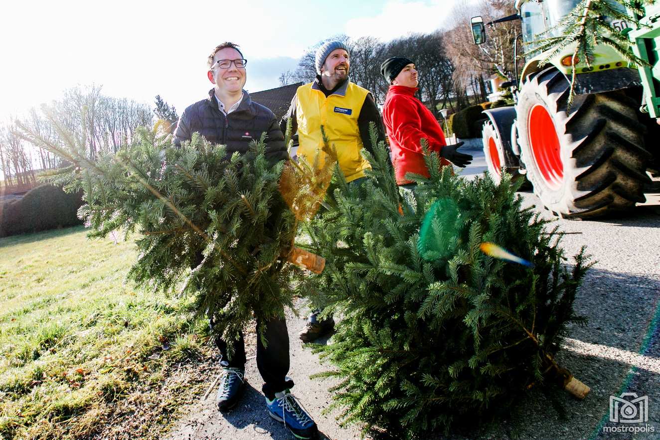 004_VP-Amstetten_Christbaumsammeln.jpg