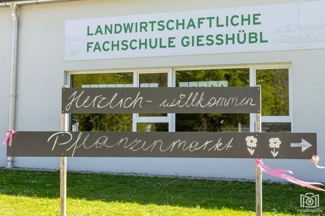 Pflanzenmarkt LFS Giesshuebl 2026 - 002.jpg