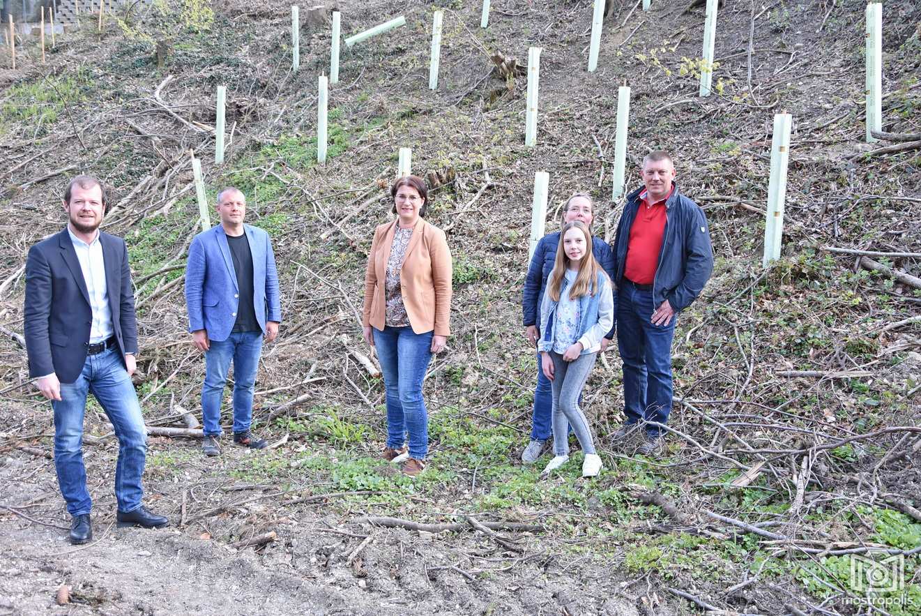 A Aufforstungen-Reitbauernsiedlung