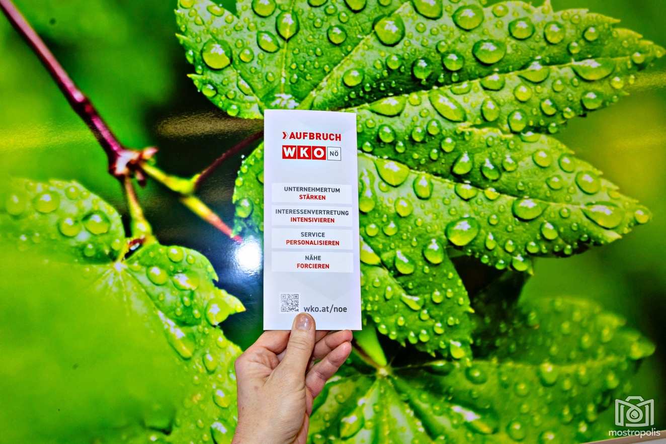 Neujahrsauftakt 2026 WK Amstetten 002.jpg