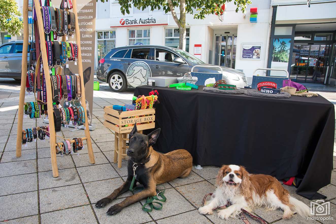 Bauernmarkt-Sept_004.JPG