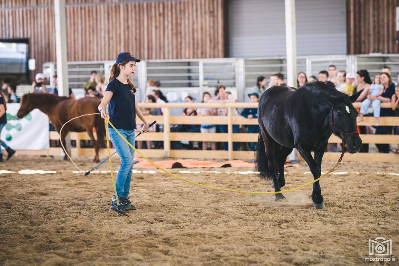 Messe Wieselburg Land-Forst23 3