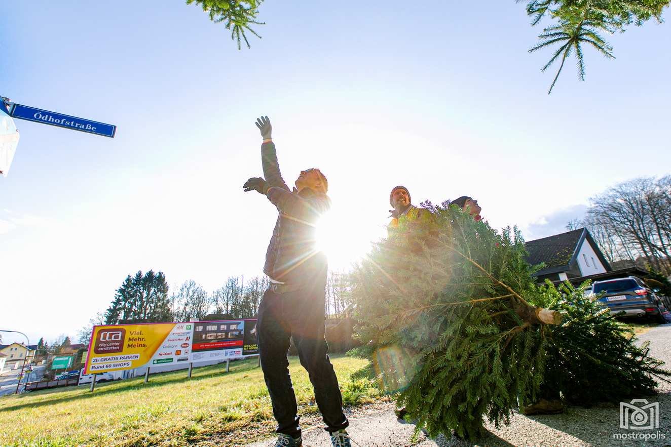 003_VP-Amstetten_Christbaumsammeln.jpg