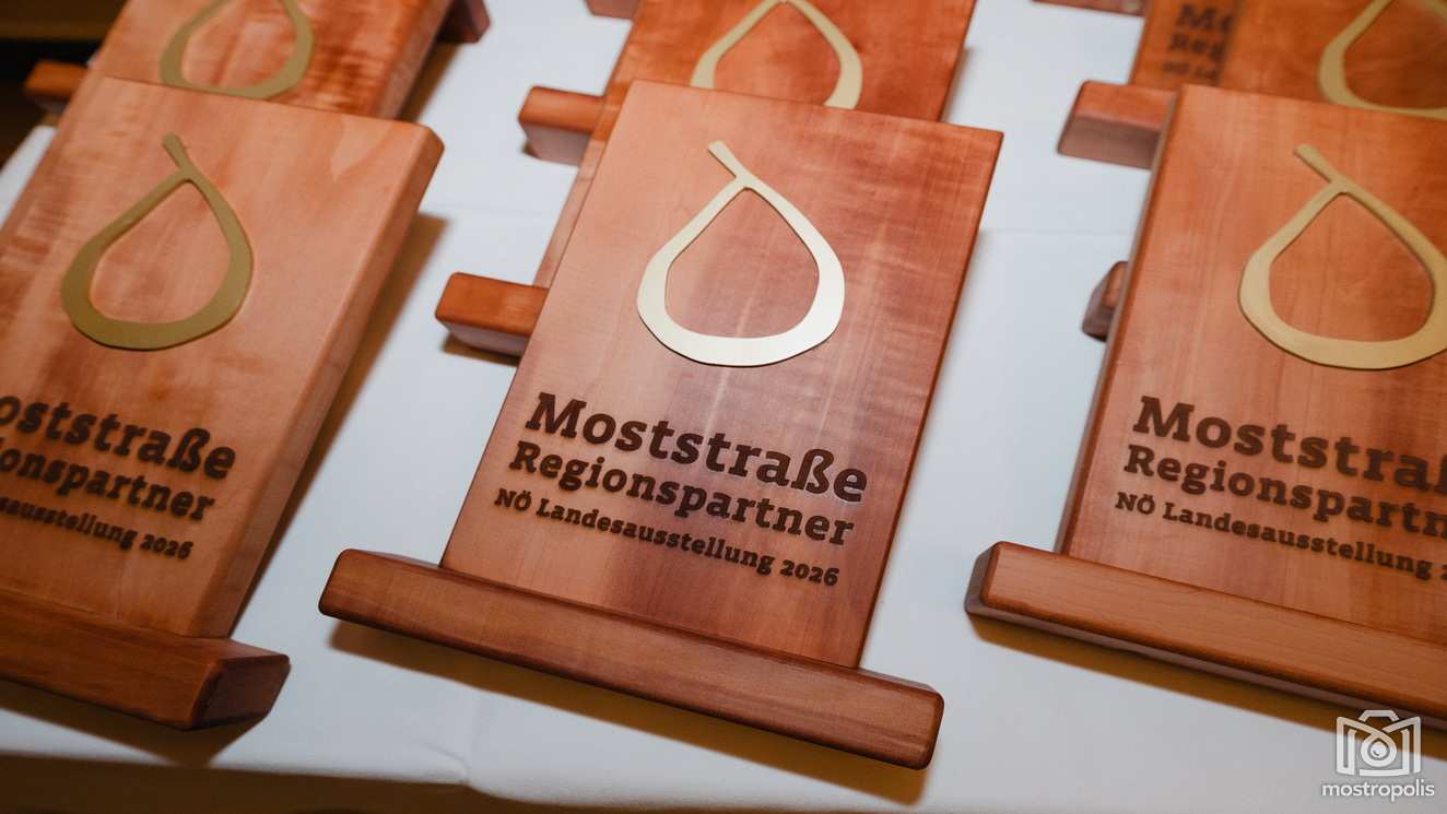 Moststrasse Praemierung Regionspartner 002.jpg