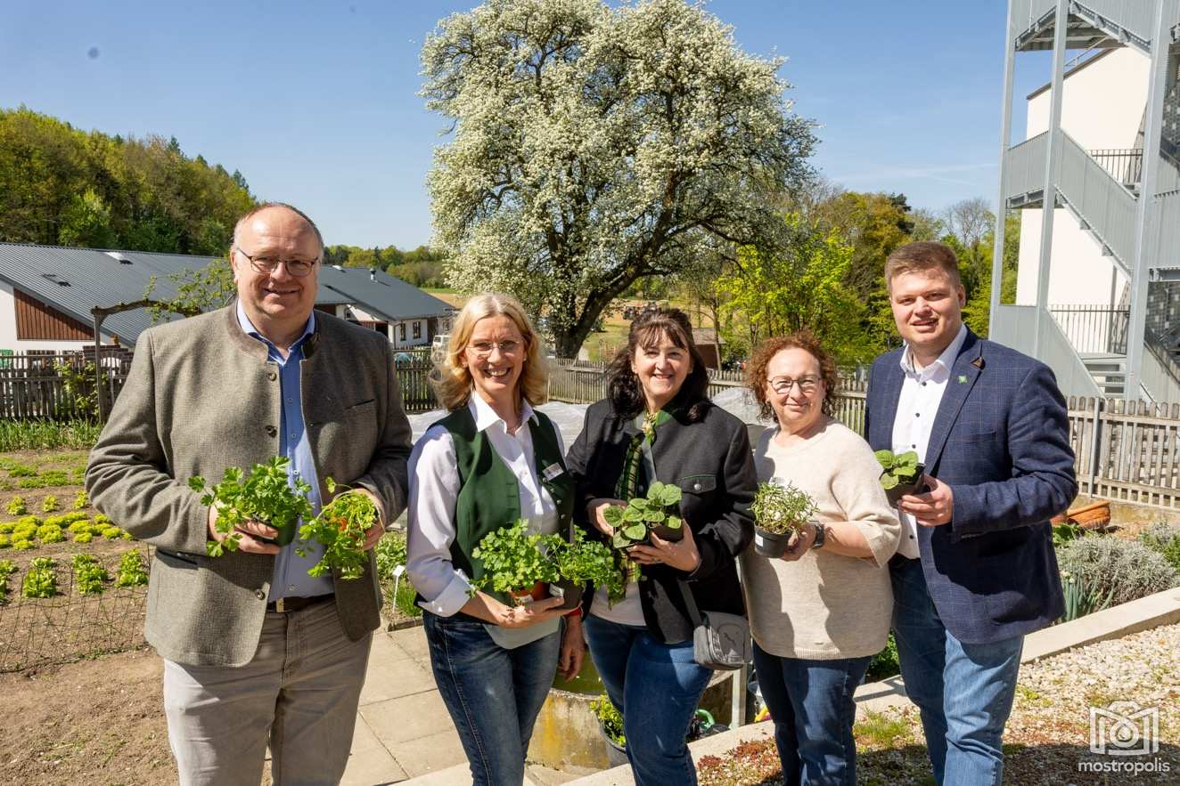 Pflanzenmarkt LFS Giesshuebl 2026 - 001.jpg