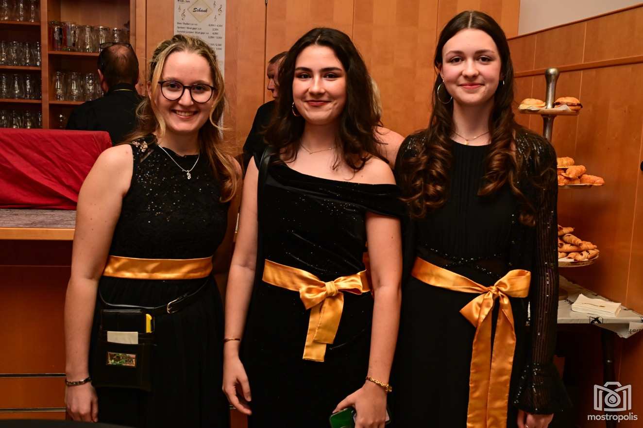 Musikball 2026 NeustadtlD 004.jpg