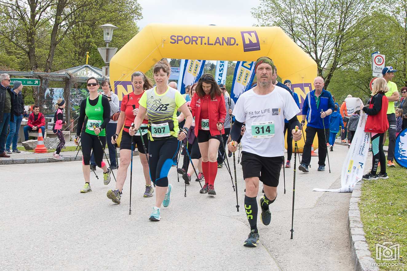 Altarmlauf-Wallsee_003.JPG