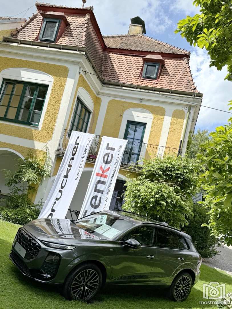 SENKER Gruppe - Audi quattro Cup 2026 - 002.jpg