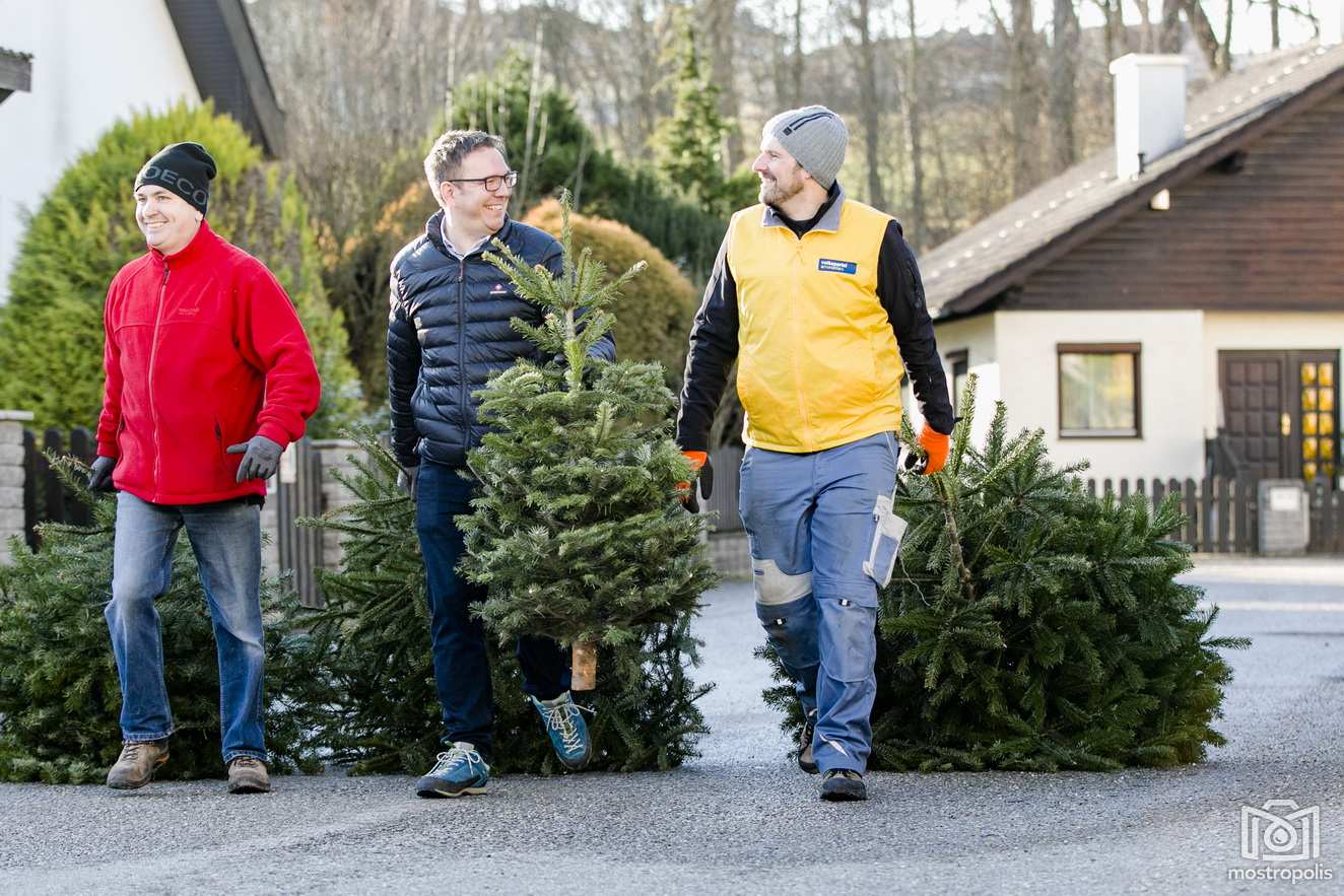 001_VP-Amstetten_Christbaumsammeln.jpg