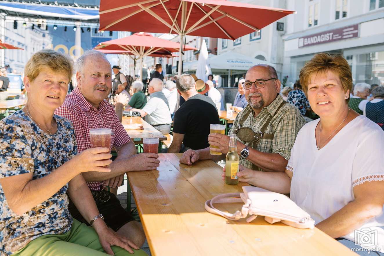 100-Jahre-NOe_Bezirksfest-Waidhofen-Ybbs_003.jpg