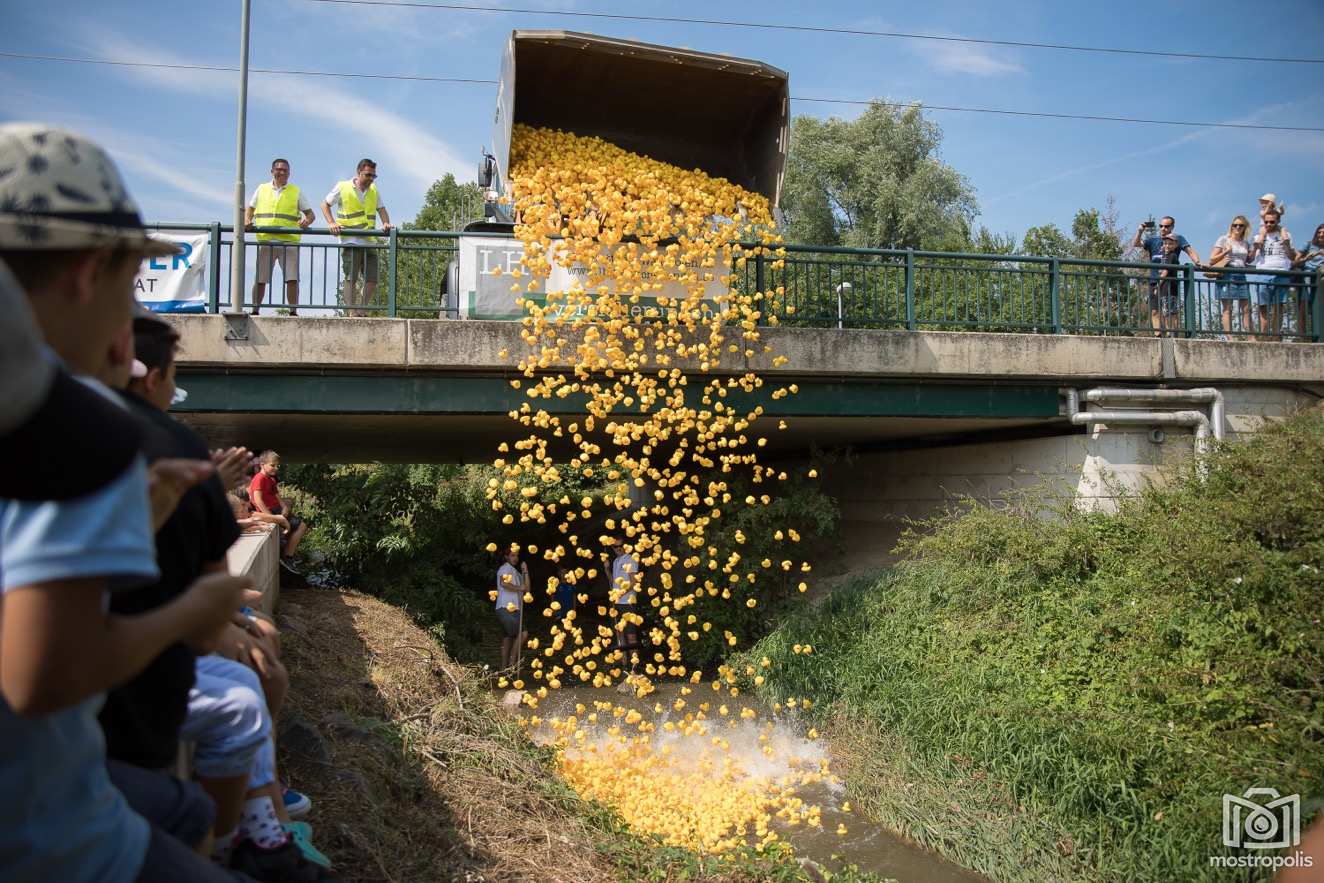 RT48 Entenrennen Amstetten 002