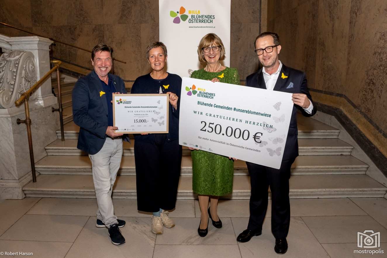 WY Bluehendes Waidh Billa 25