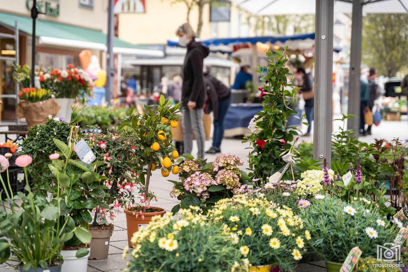 Amstettner-Bauernmarkt 03