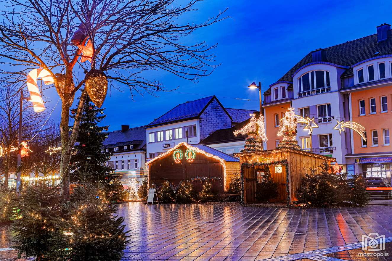 Weihnachtswald Amstetten c Doris Schwarz-Koenig