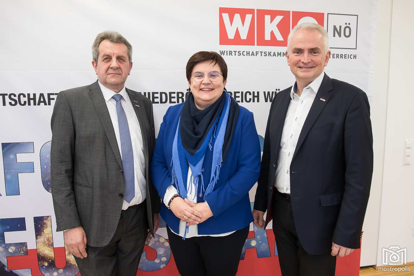 Neujahrsempfang_Wirtschaftskammer-Amstetten_001.JPG