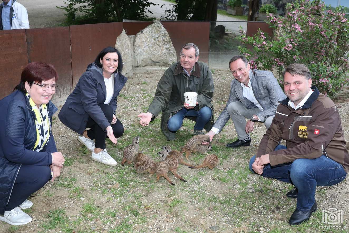 001_Tierpark_Stadt-Haag.JPG