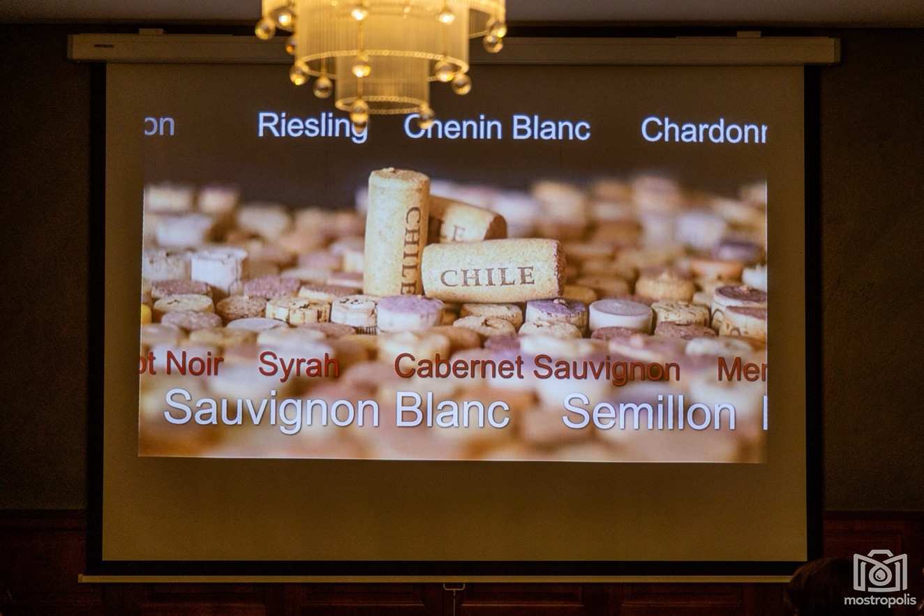 Weinwoelfe Chile 002.jpg